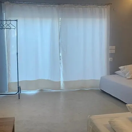 Jack Daniel Friends 팔리라키