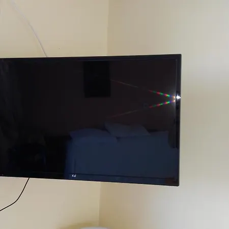 Jack Daniel Friends 팔리라키